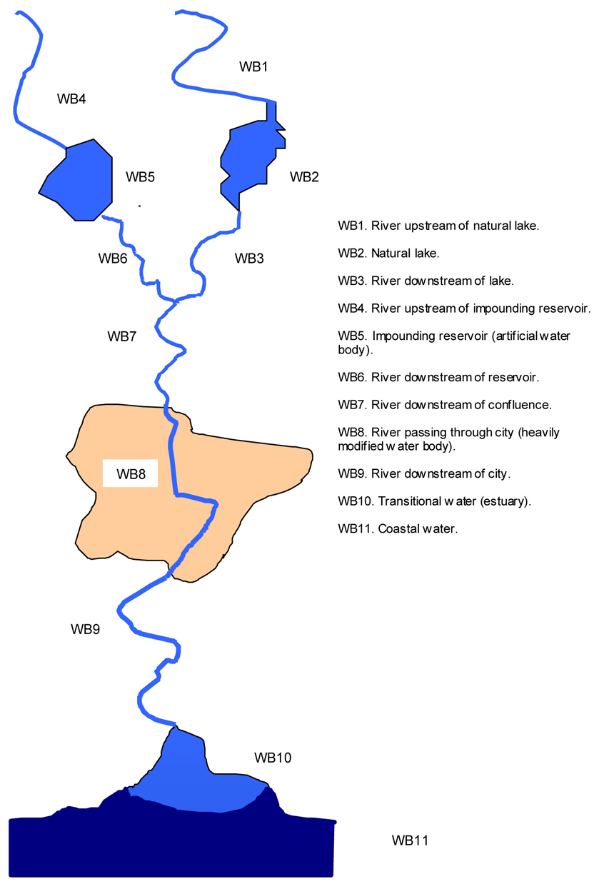 Examples of the designation of surface water bodies.