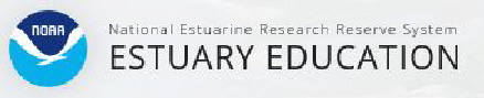 Estuary Education1