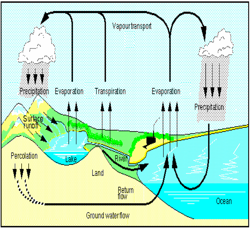 The stages of the Hydrological Cycle.