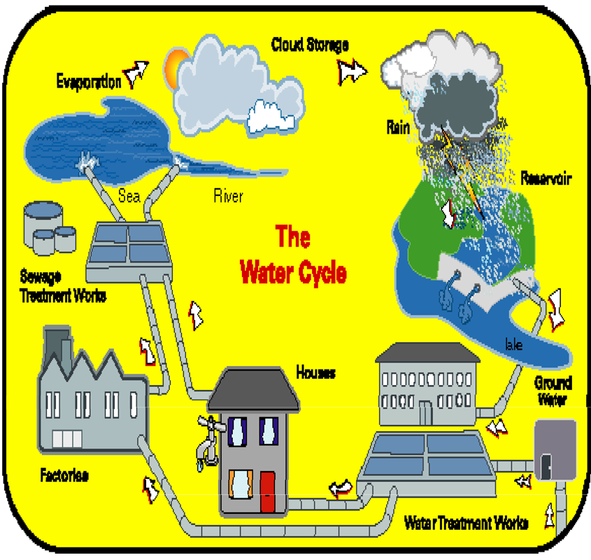 The Water Utility’s Role in the Hydrological (Water) Cycle.