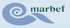 Marine Biodiversity and Ecosystem Functioning (MarBEF)