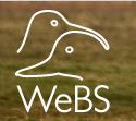Wetland Bird Survey